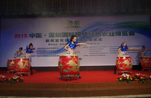 發(fā)布會策劃-活動(dòng)表演